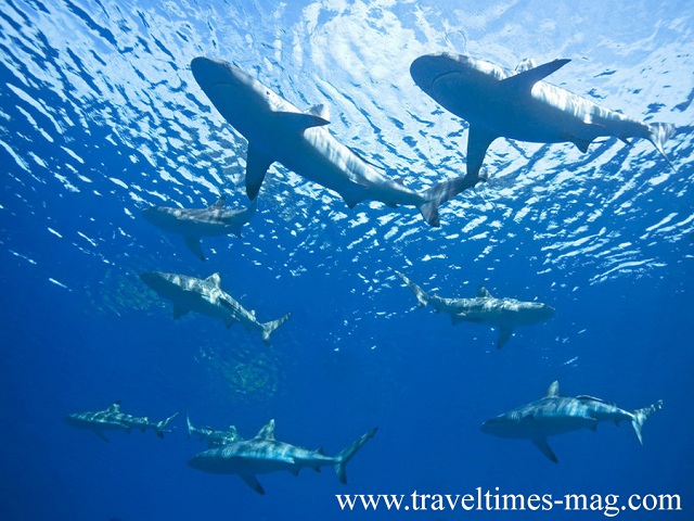 Maldives vacation