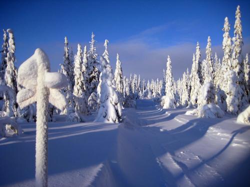 lapland