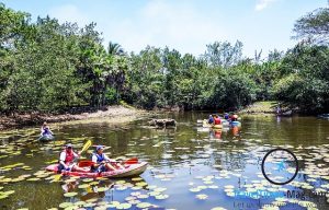 trips to Belize