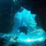 Scuba Diving in Cozumel