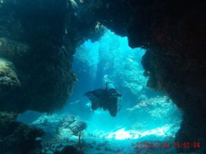 Scuba Diving in Cozumel