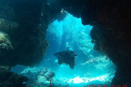 Scuba Diving in Cozumel